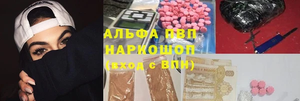 амф Липки